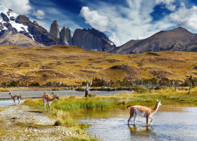 do Chile